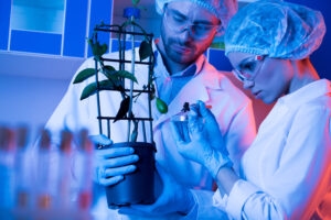 Apply For a Youth Mobility Visa UK