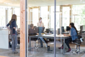 Permitted Paid Engagement Visa